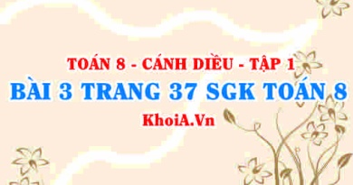 Bài 3 trang 37 SGK Toán 8 tập 1 Cánh Diều